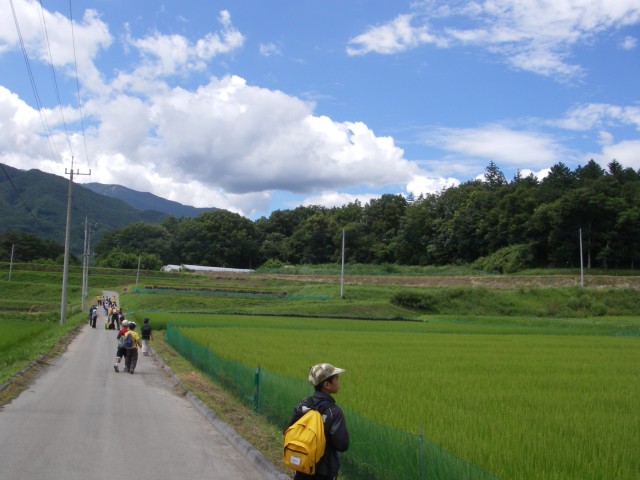 7.白州森の探検