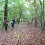 「京都府美山町芦生の森」