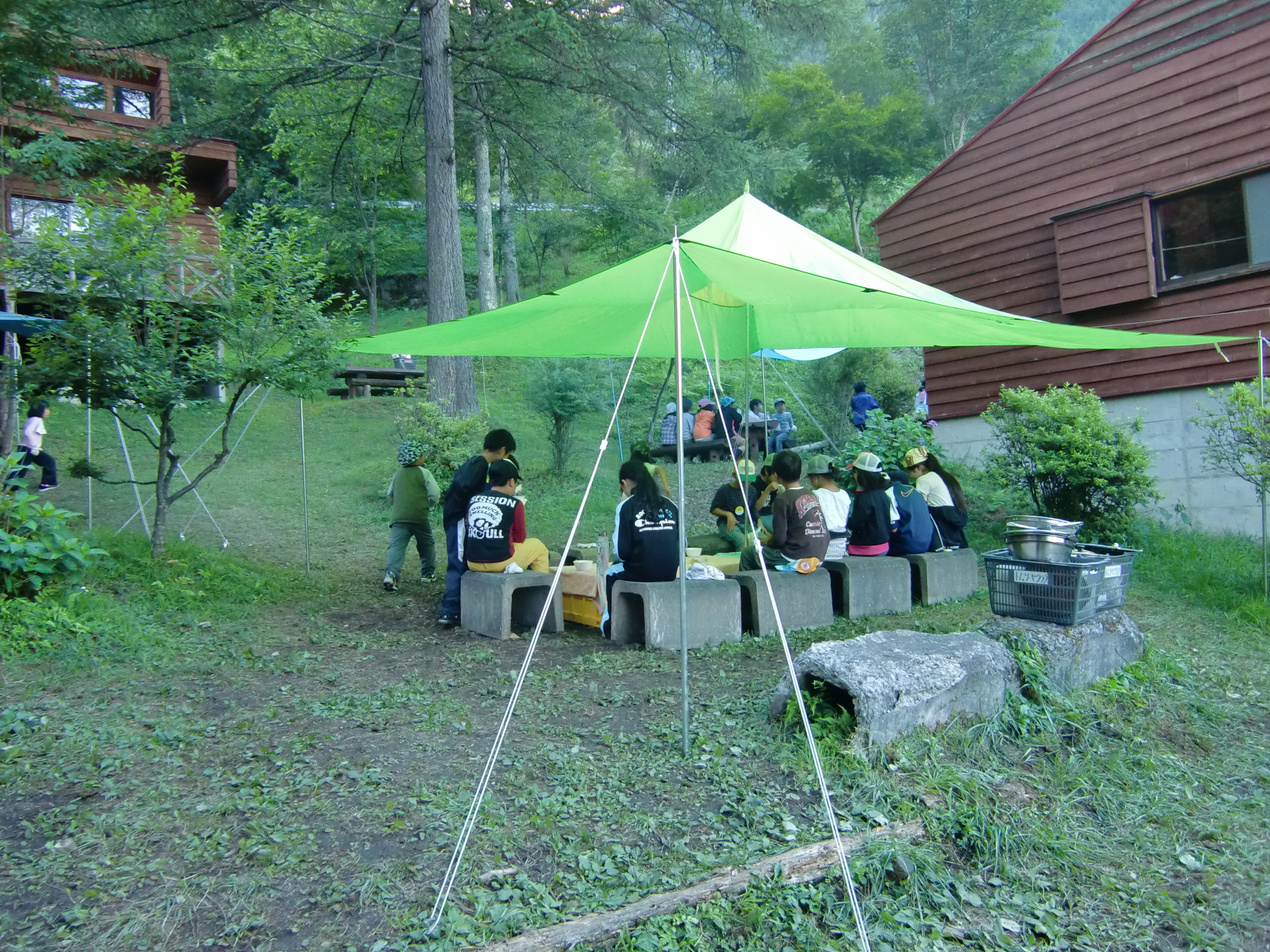 夏のできごと「ヘビとブヨ」