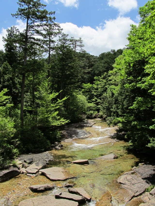 赤沢の清流