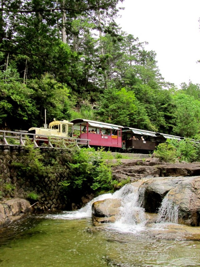 森林鉄道