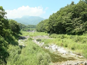 白州・川遊びキャンプ