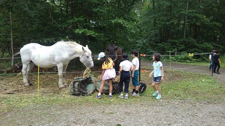 8月16日出発、馬と暮らすキャンプ　1日目