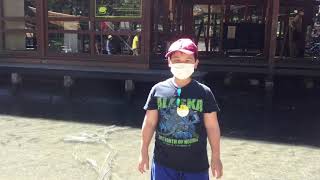 「ニジマスつかみをやってみたよ！」川遊びキャンプ2020で参加者が作った動画をご紹介します！