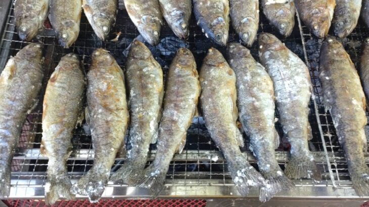 ８月１日発川遊びキャンプ３泊４日白州２日目