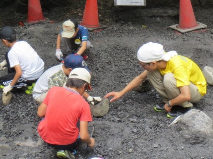 化石恐竜キャンプ